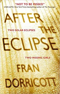 Cover image for After the Eclipse
