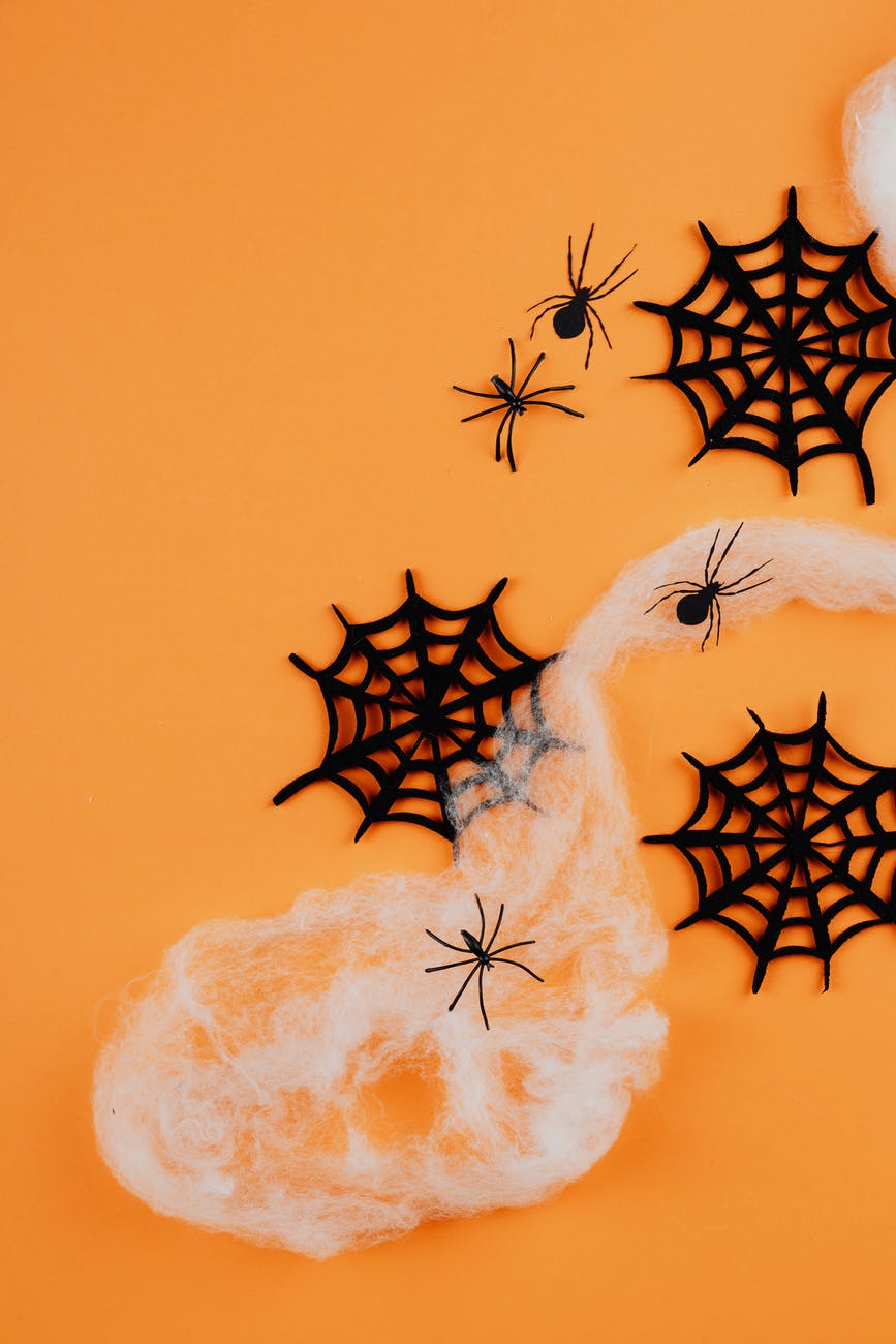 paper spiders and webs