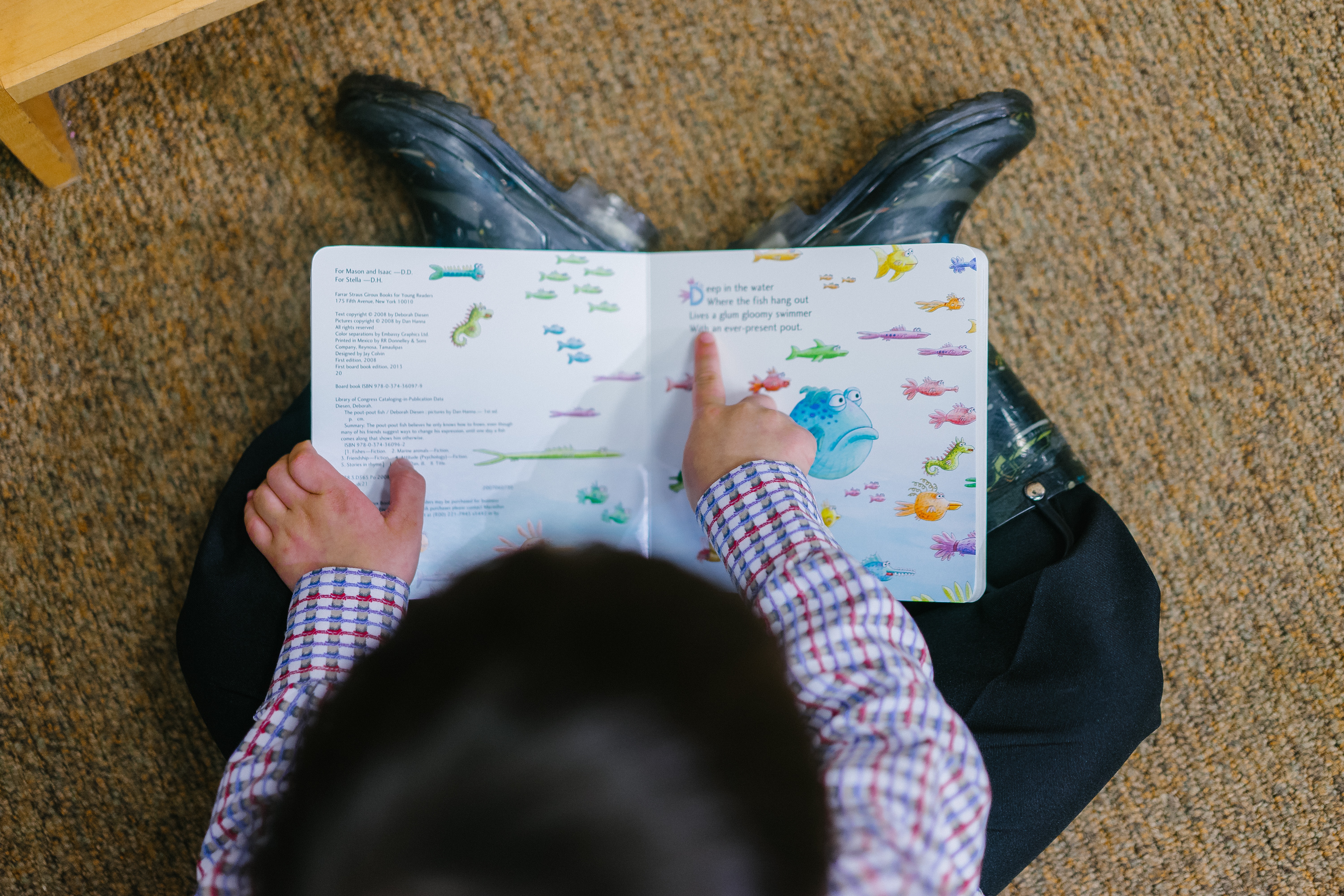 Young boy with a book open on his lap, reading to himself. 