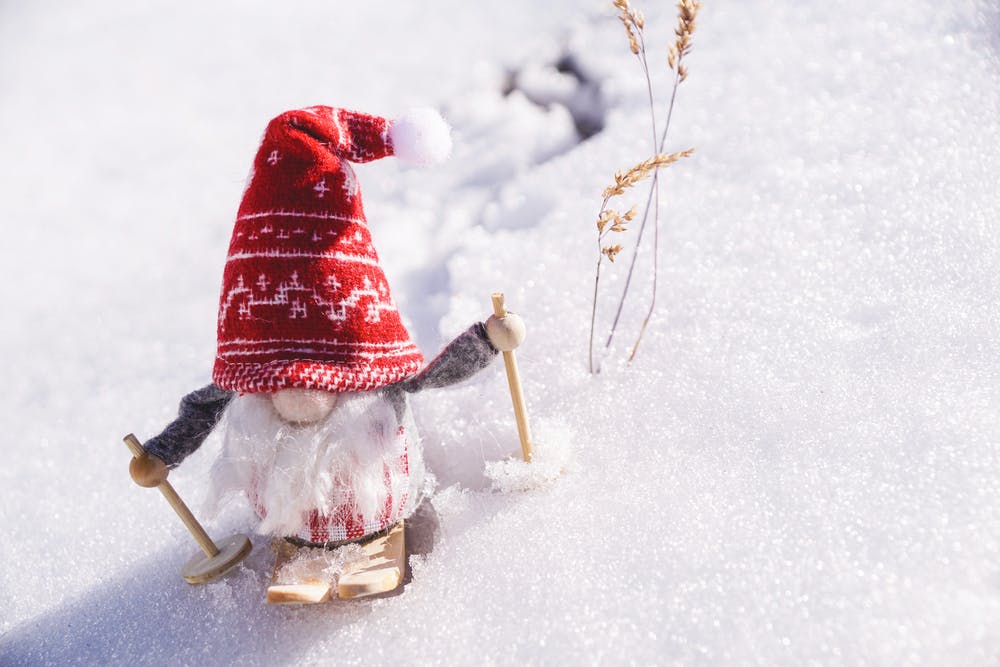 Gnome with a red hat and long beard on skis, skiing through the snow 