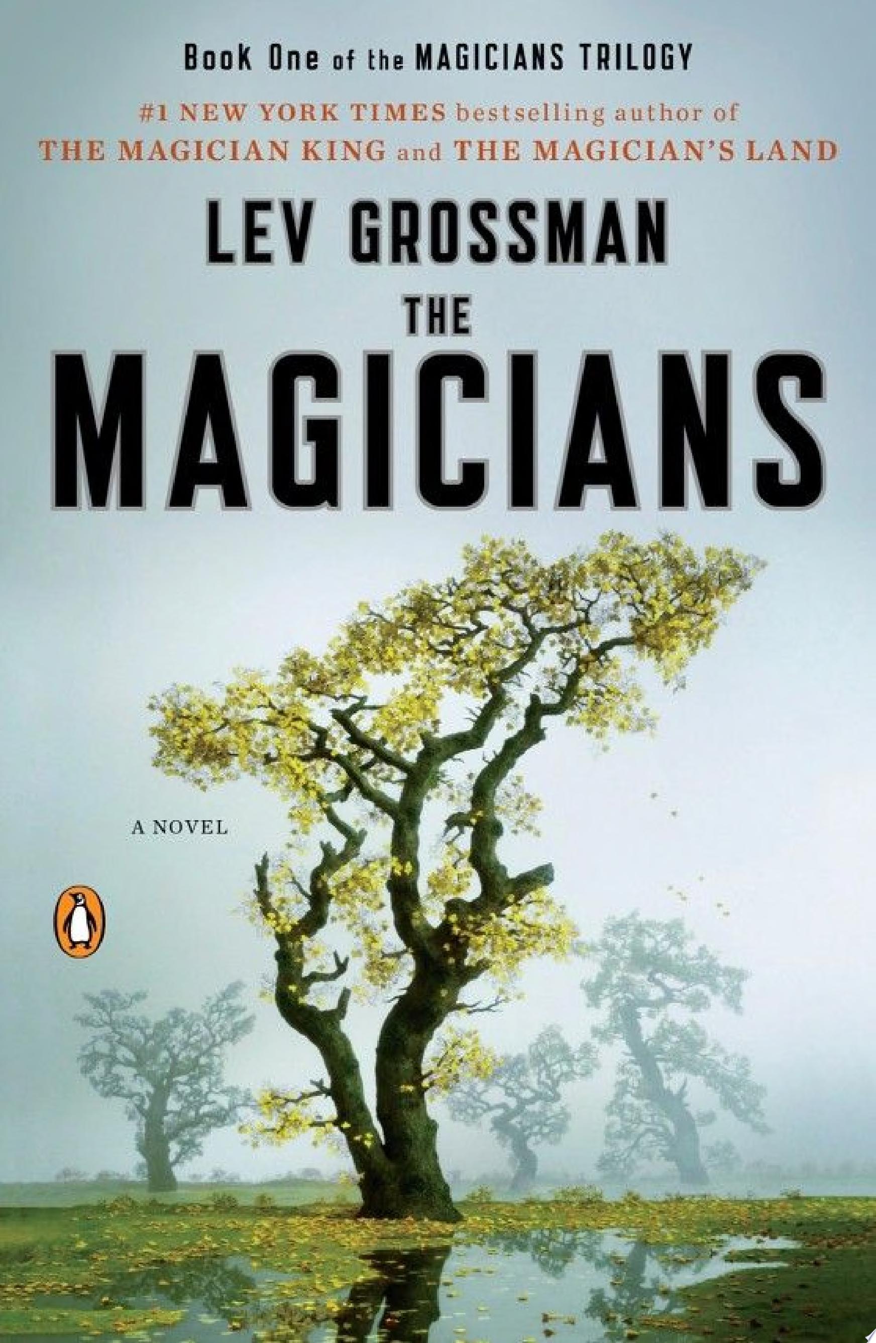 Image for "The Magicians"