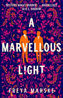 Image for "A Marvellous Light"