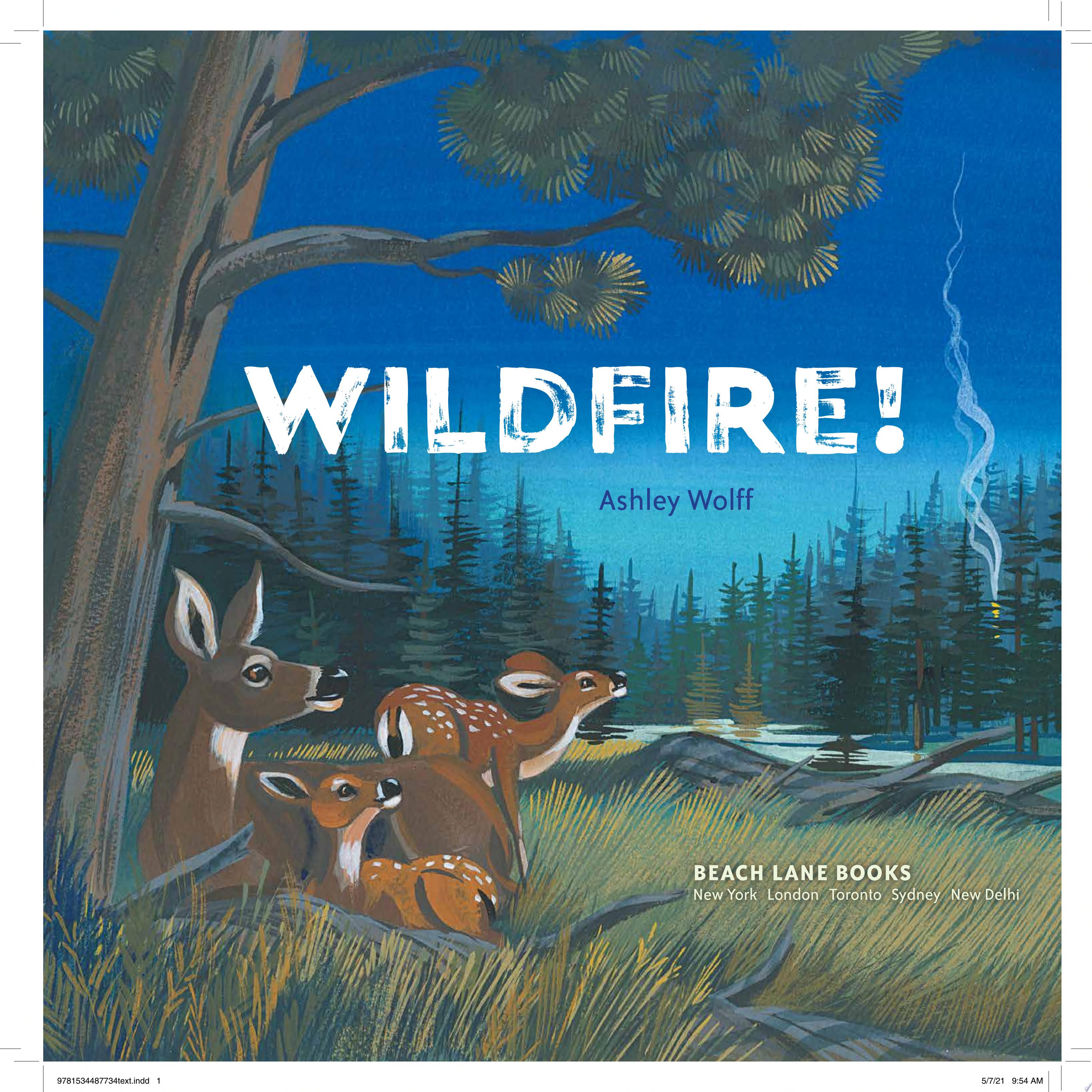 Image for "Wildfire!"
