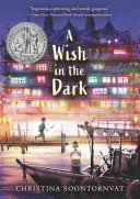 Image for "A Wish in the Dark"