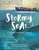 Image for "Stormy Seas"
