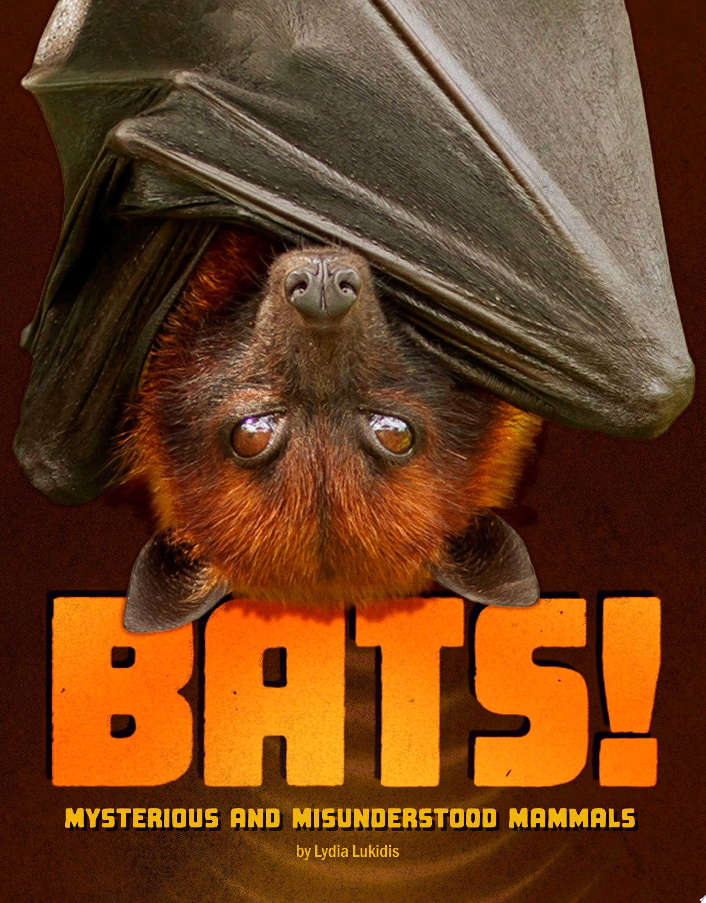 Image for "Bats!"