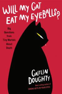 Will My Cat Eat My Eyeballs book cover (a cartoon image of a black cat with a sinister impression, on a red background, with a childishly handwritten title)