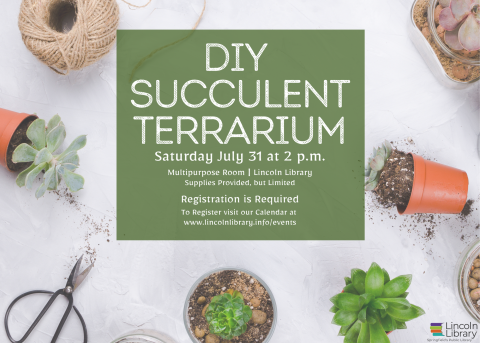 DIY Succulent Terrarium Workshop by Lincoln Library