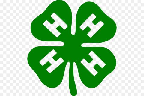 The logo for 4H: a green four-leaf clover with a capital H in each leaf. 