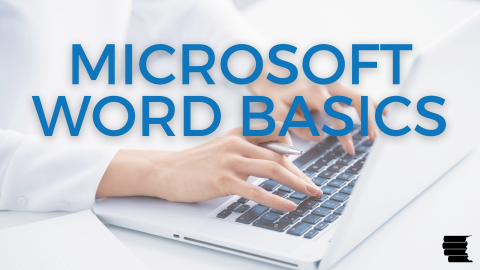 microsoft word basics