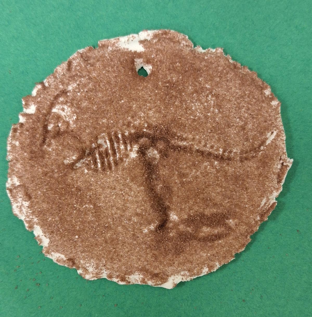 Dino Fossil 